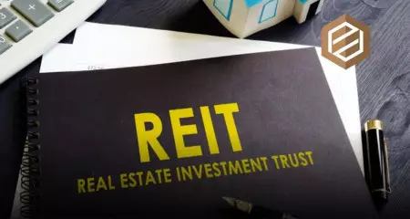 Ce inseamna REIT?