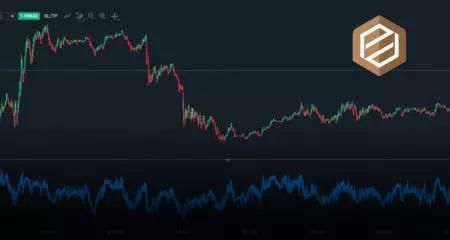 Indicatorul RSI cu exemple