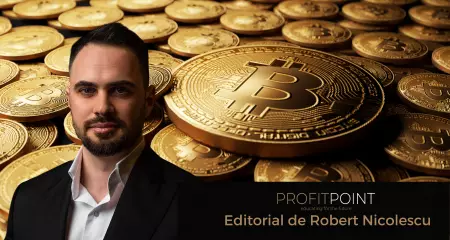 Crypto Crash. Cum se pregătește un investitor în crypto pentru Bear Market?