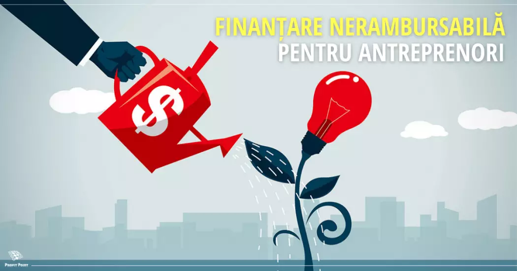 CNIPMMR oferă finanțare nerambursabilă pentru antreprenori 